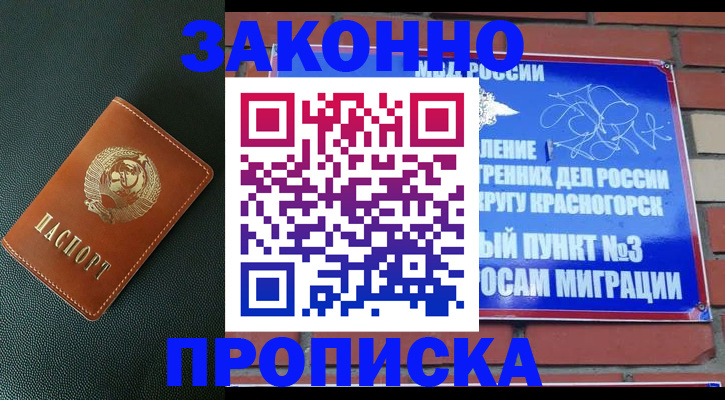 временная регистрация гарантия в Камышине